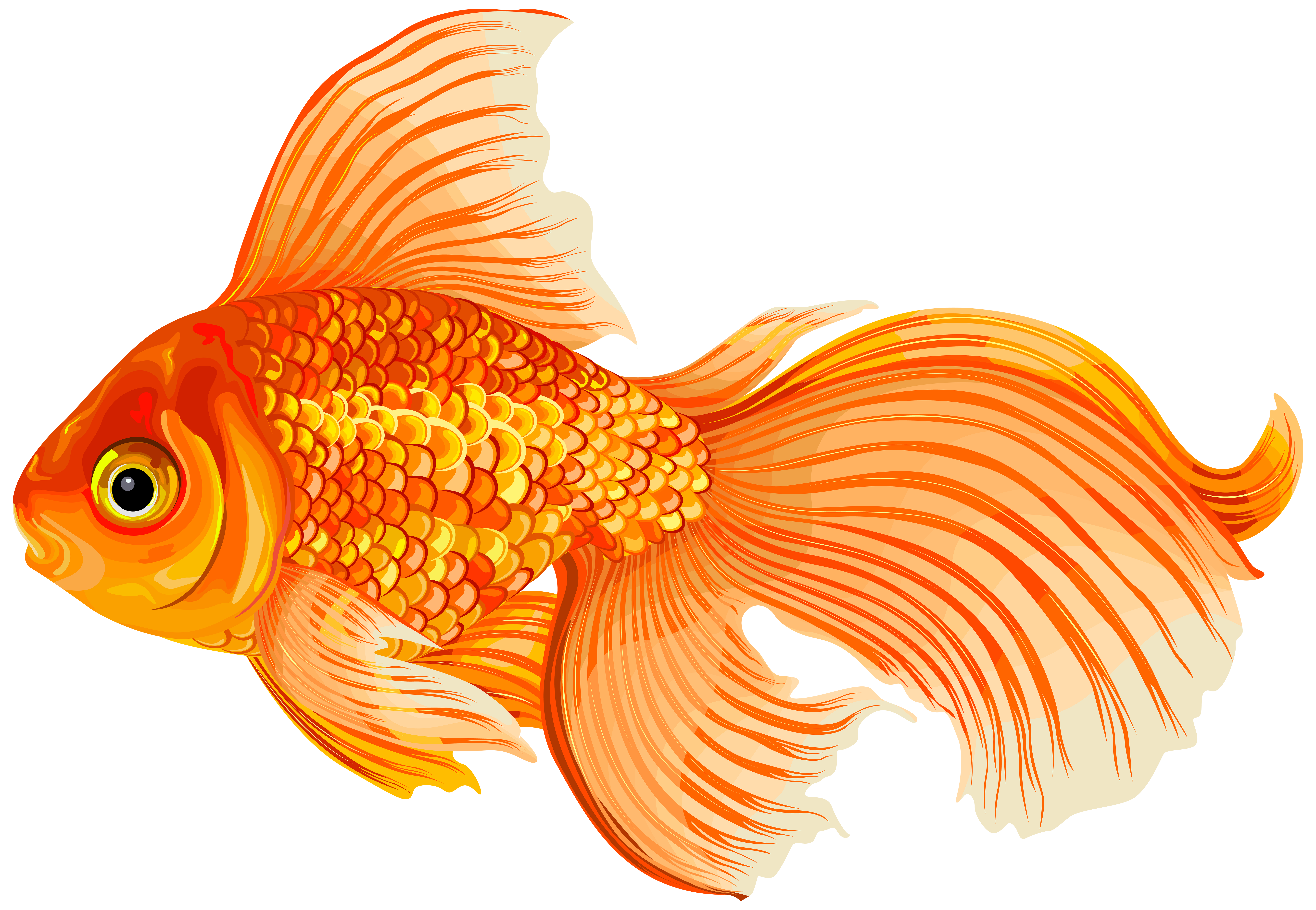 Фото золотая рыбка для детей на прозрачном фоне