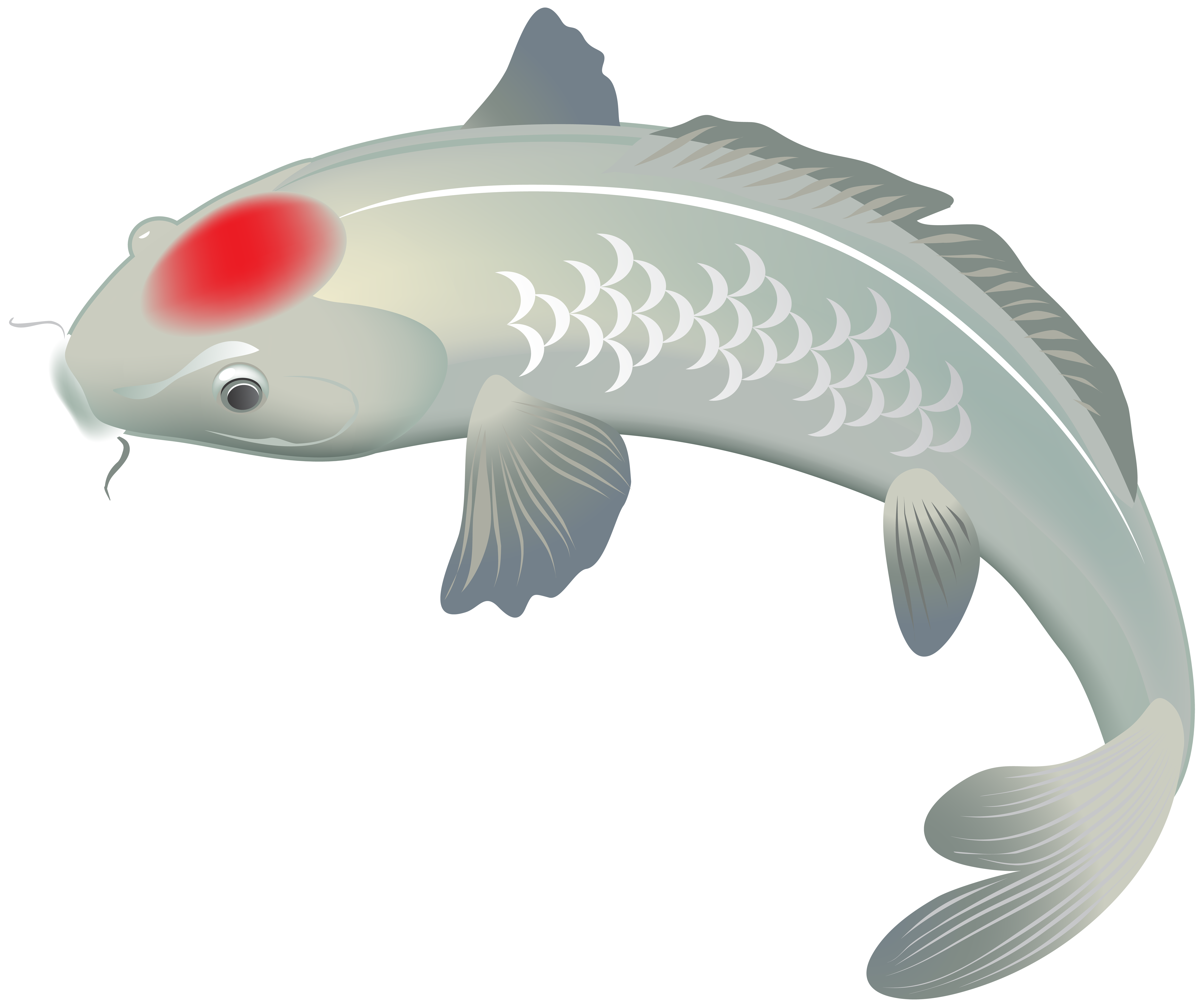 Featured image of post Koi Fish Png Hd Download transparent koi fish png for free on pngkey com