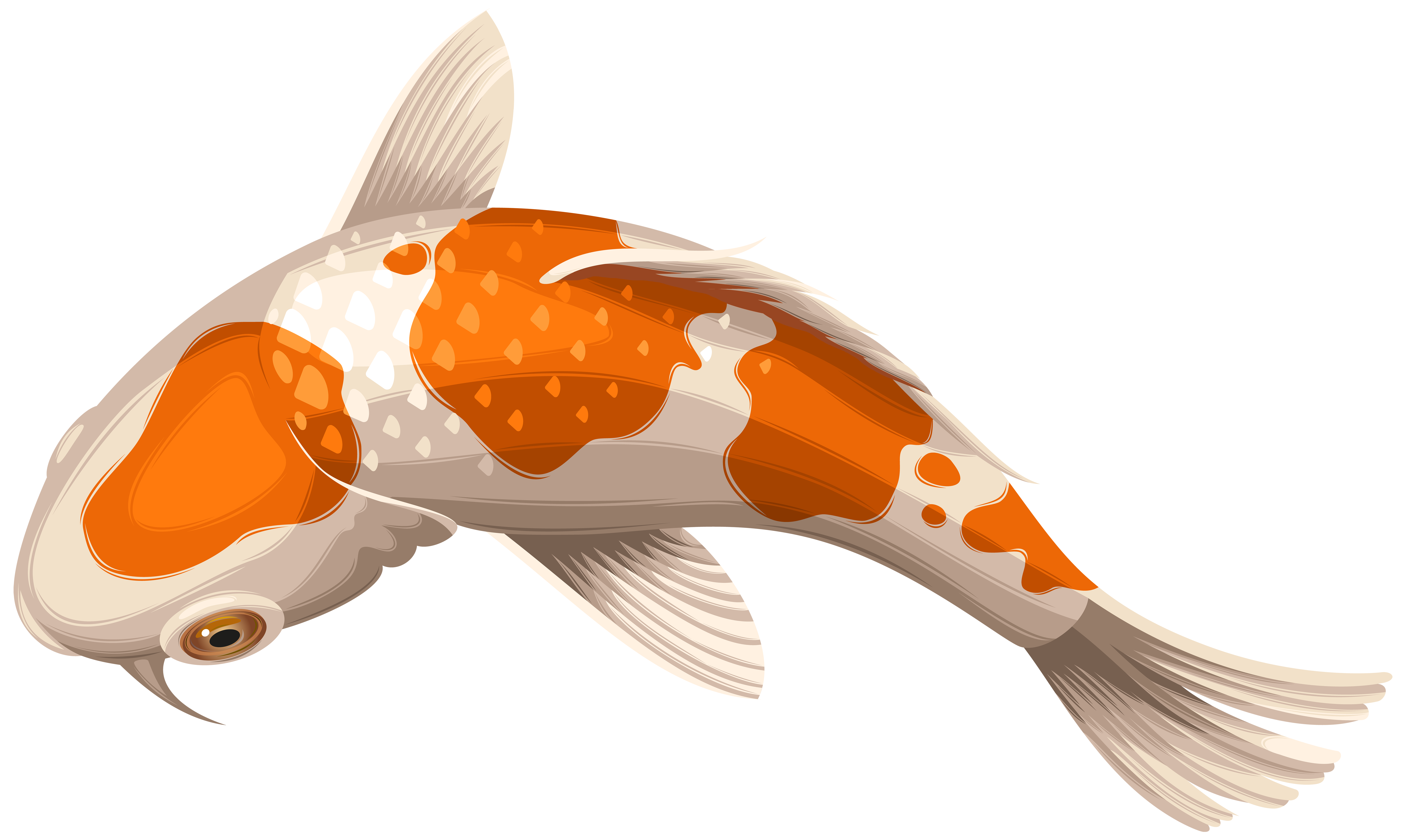 White and Orange Koi Fish Transparent Clip Art PNG Image
