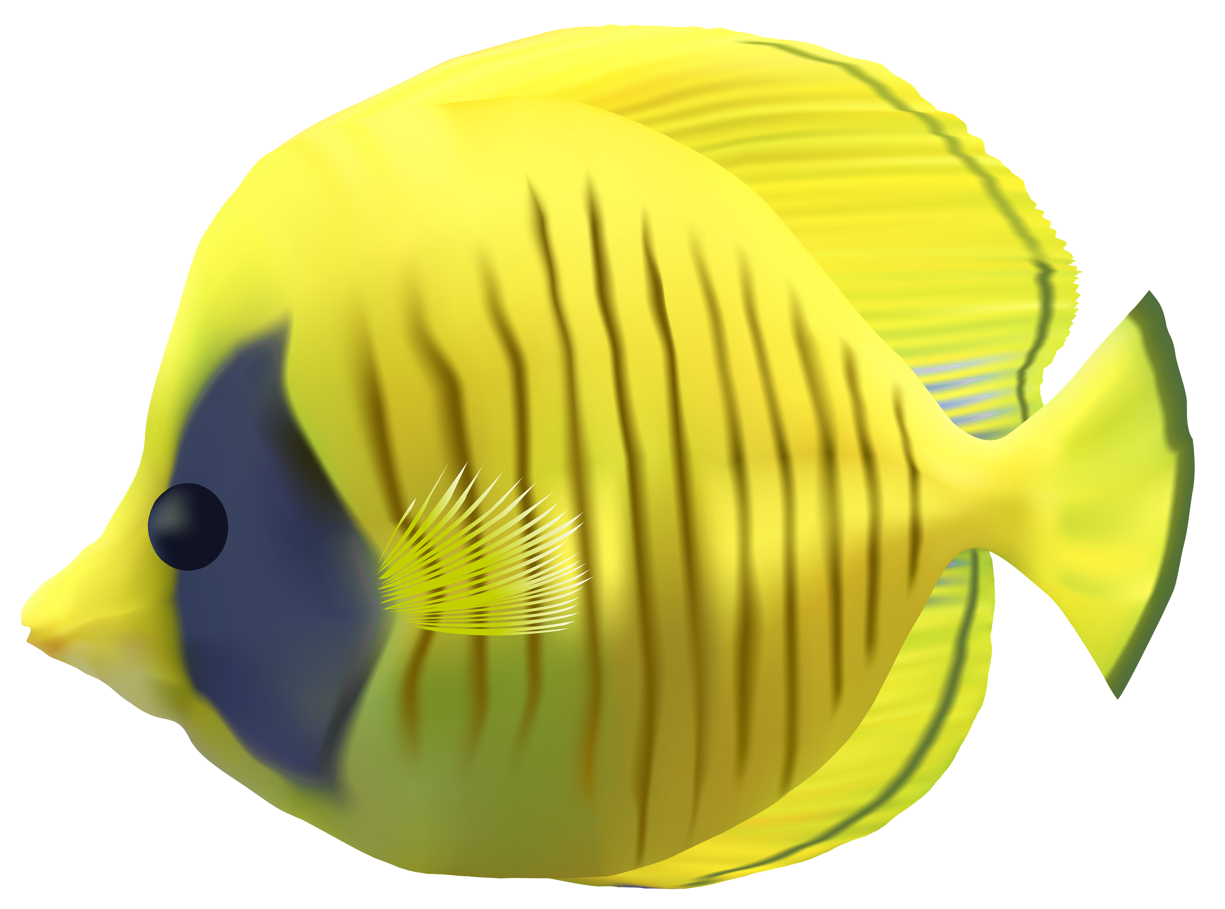 transparent fish png