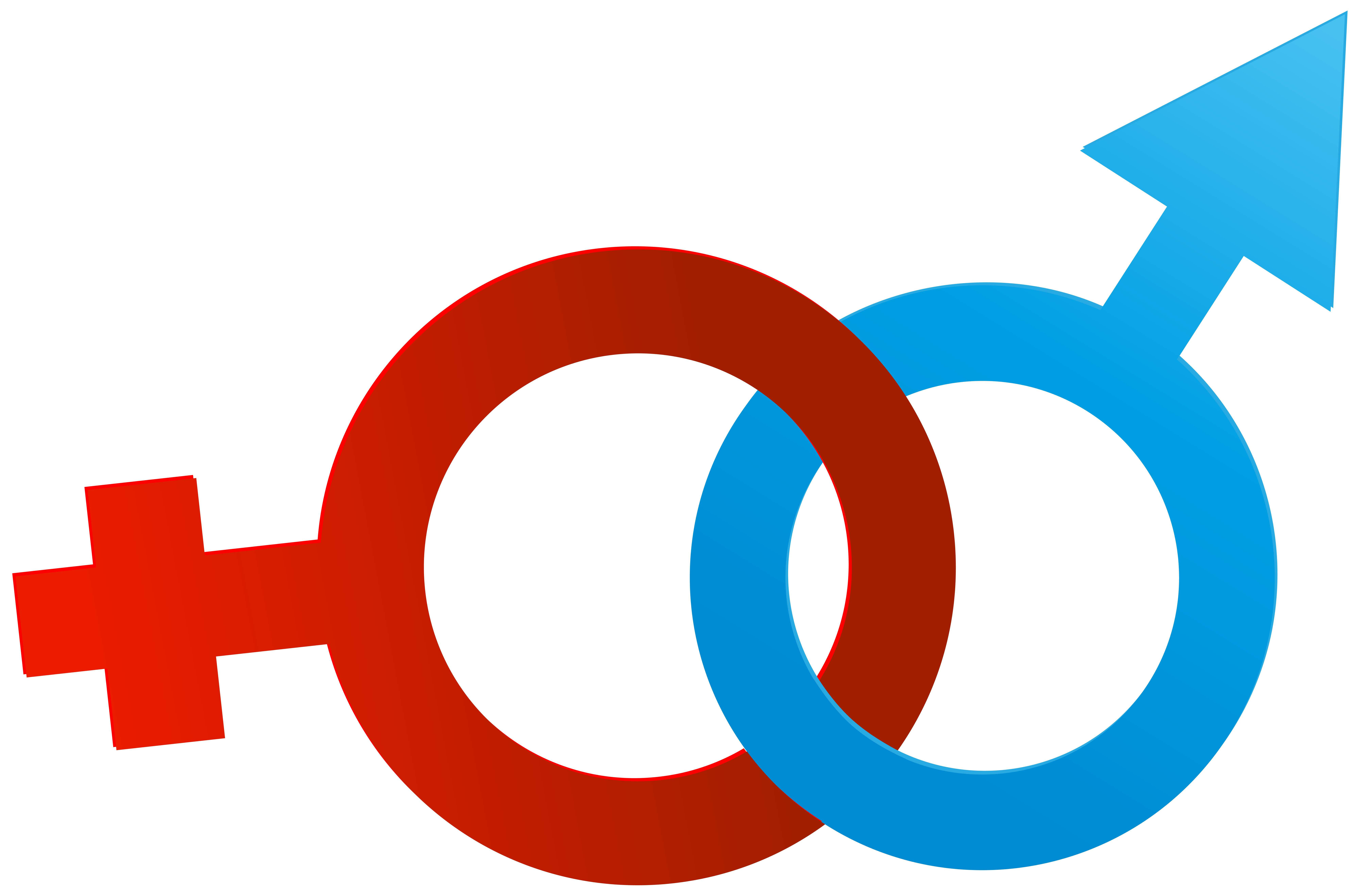 feminist symbol png