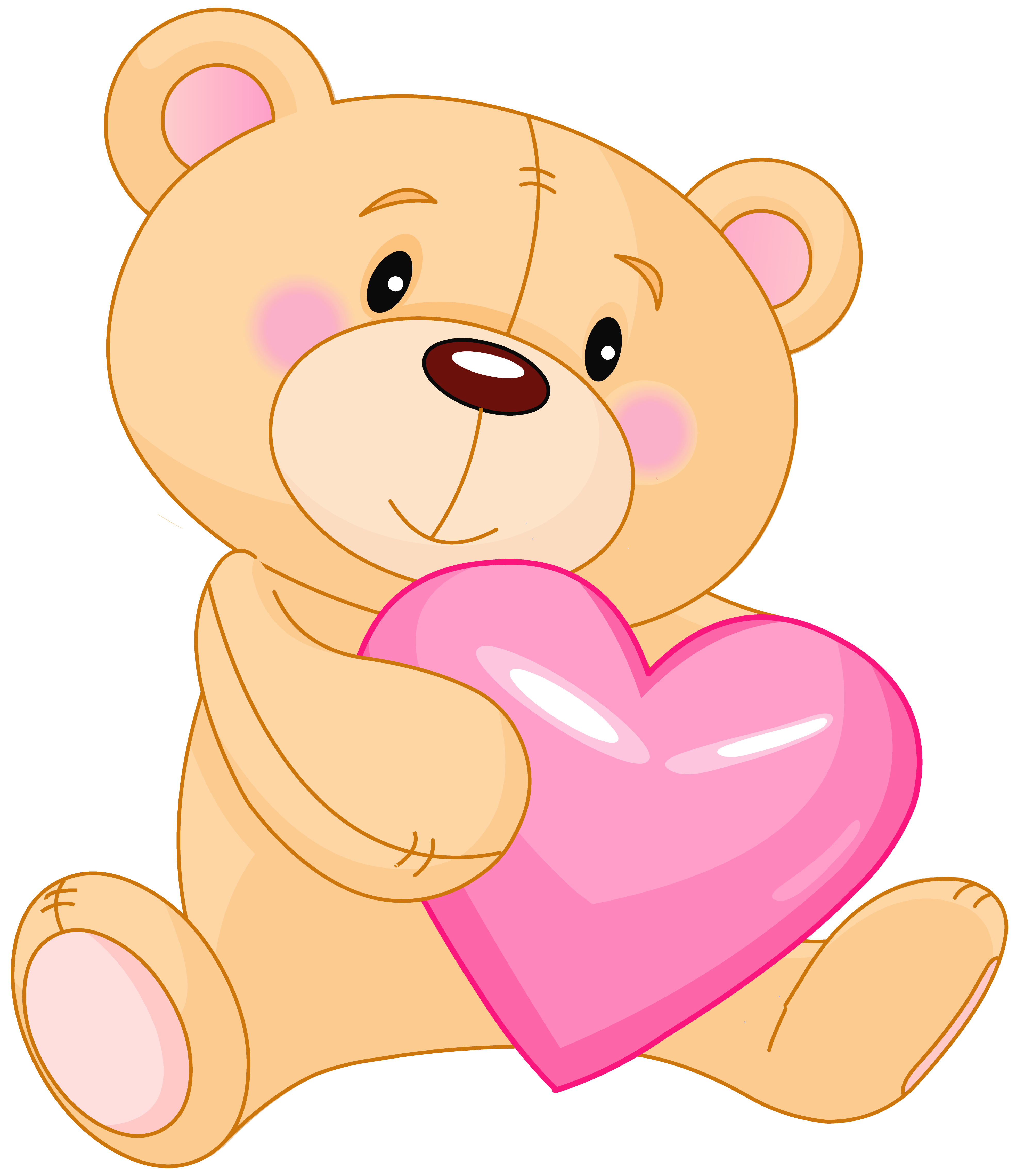 transparent cute teddy with