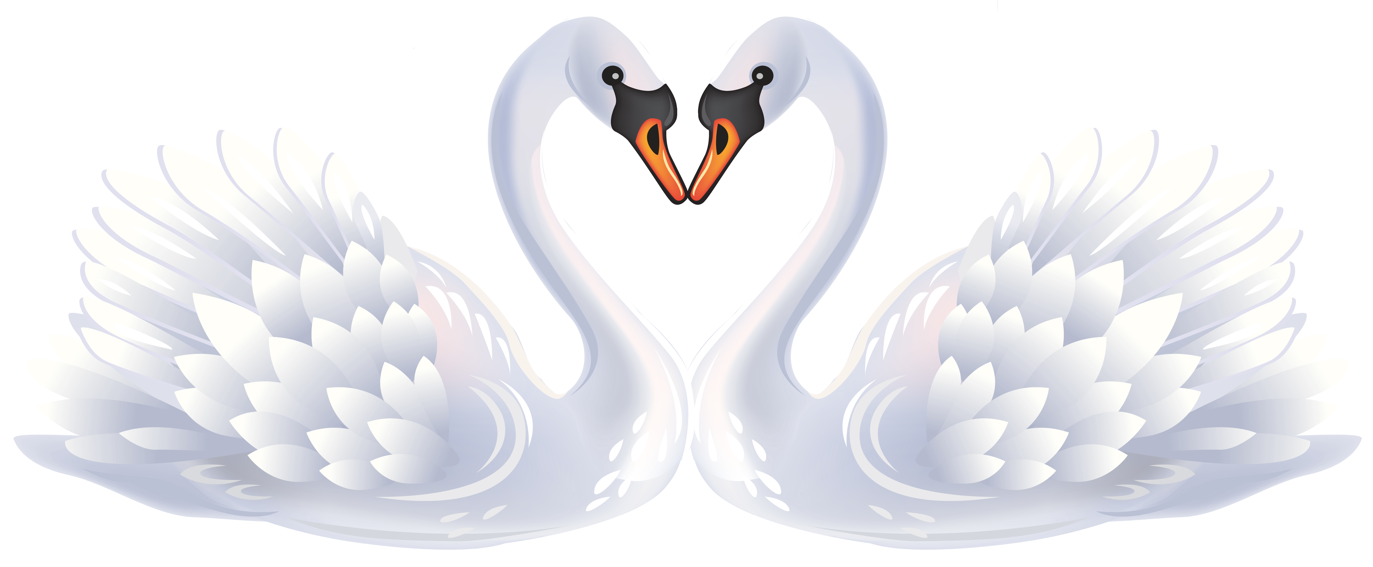 Swan Clipart
