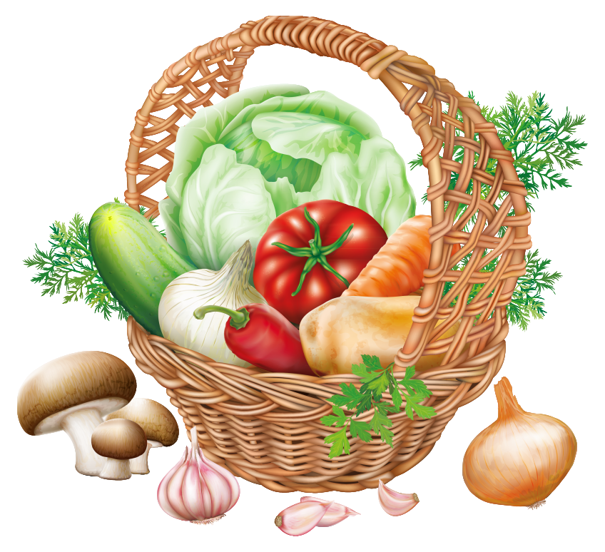 Clip Art for Harvesters Food Network Basket with Vegetables PNG Clipart Image Gallery 