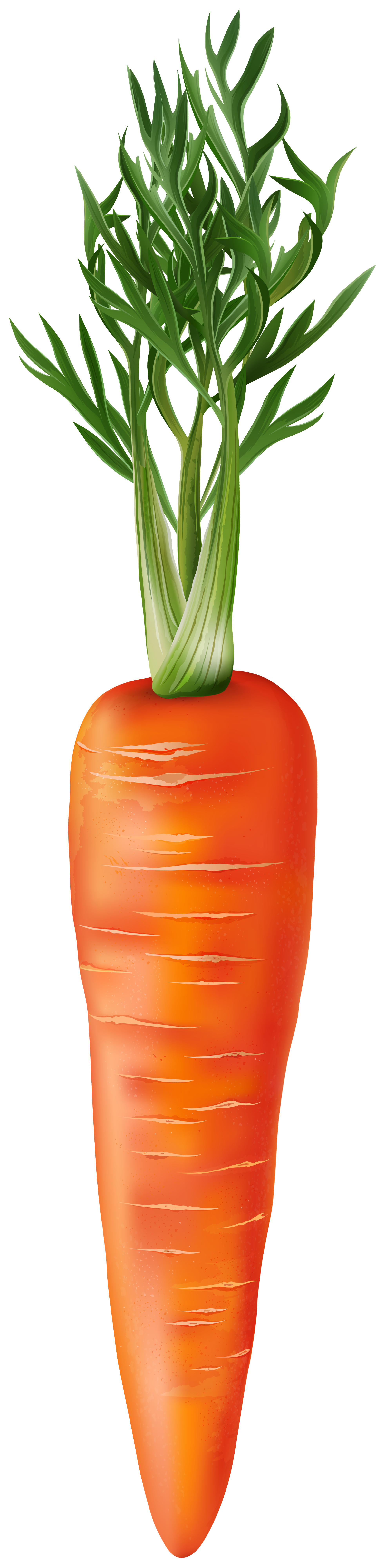 vegetables transparent png