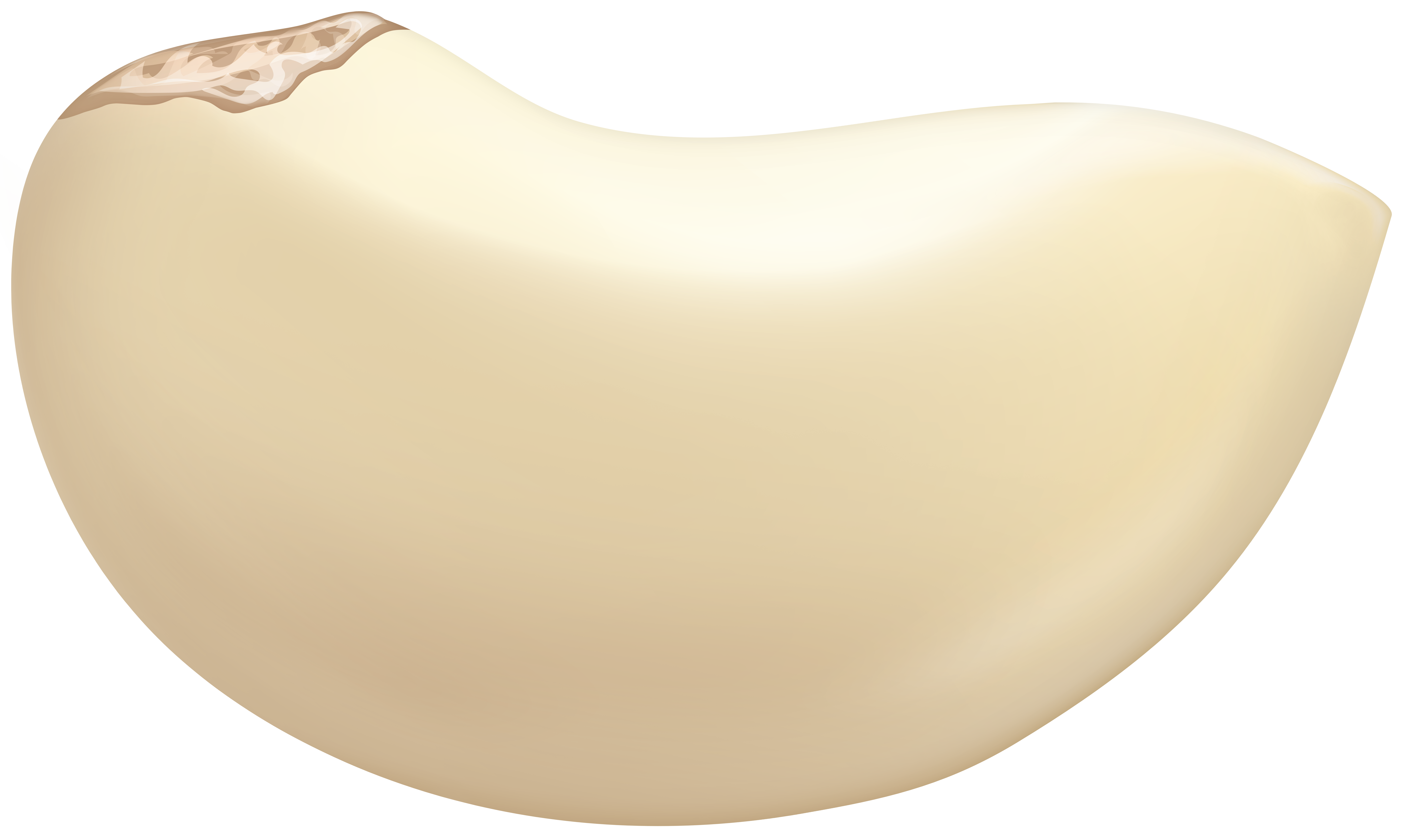 Garlic Clove Clip Art ...