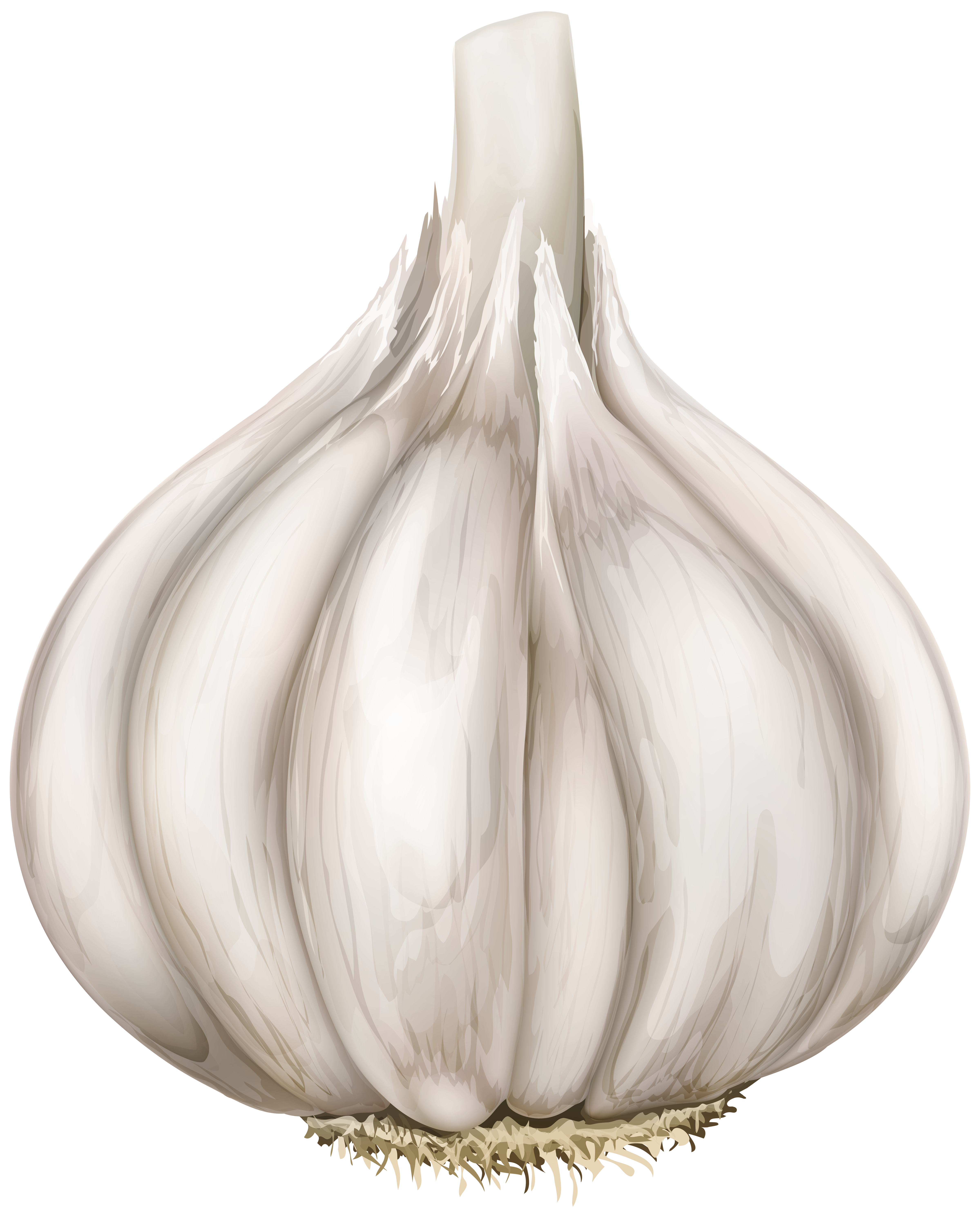garlic png