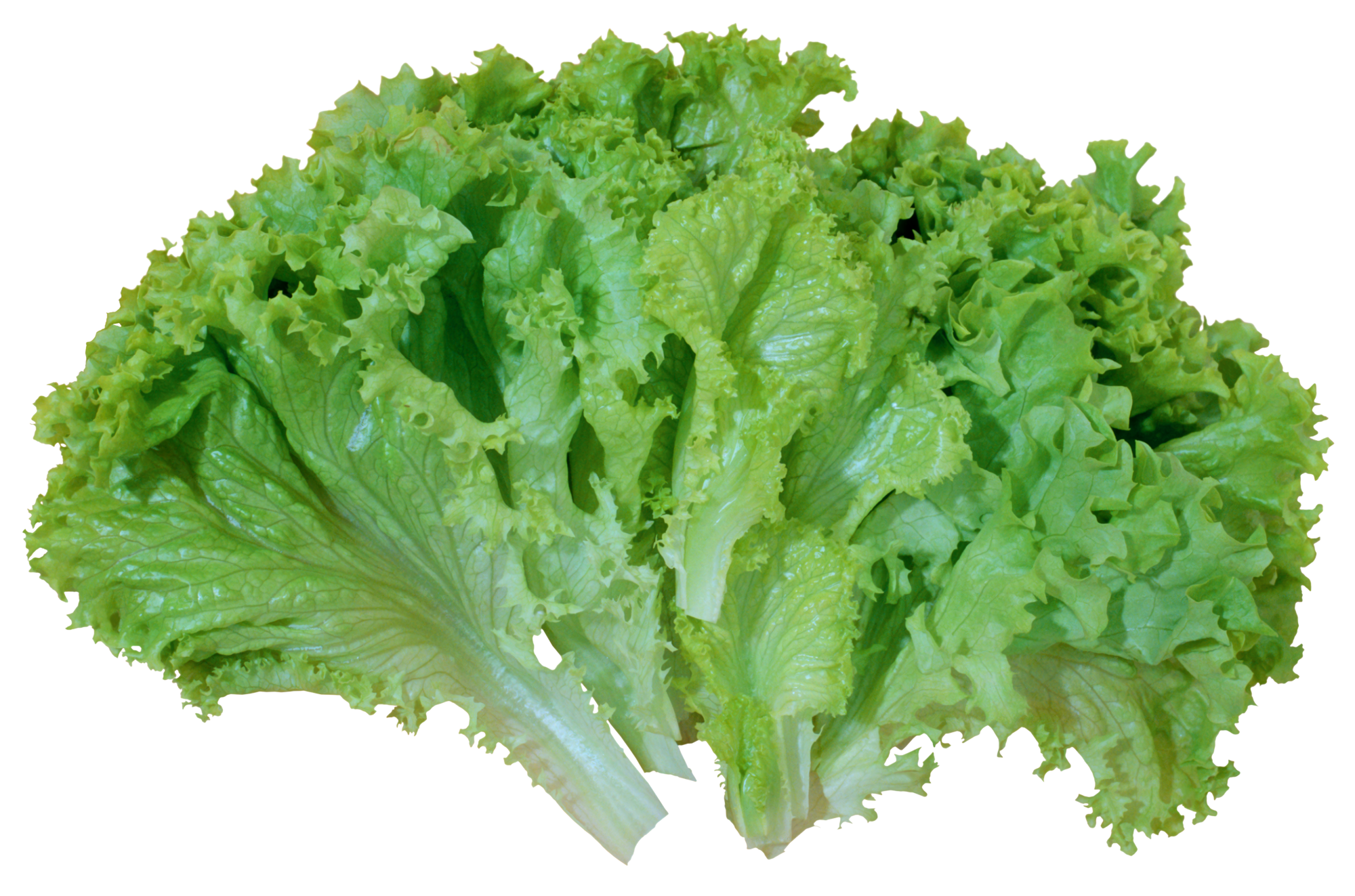 green vegetable png