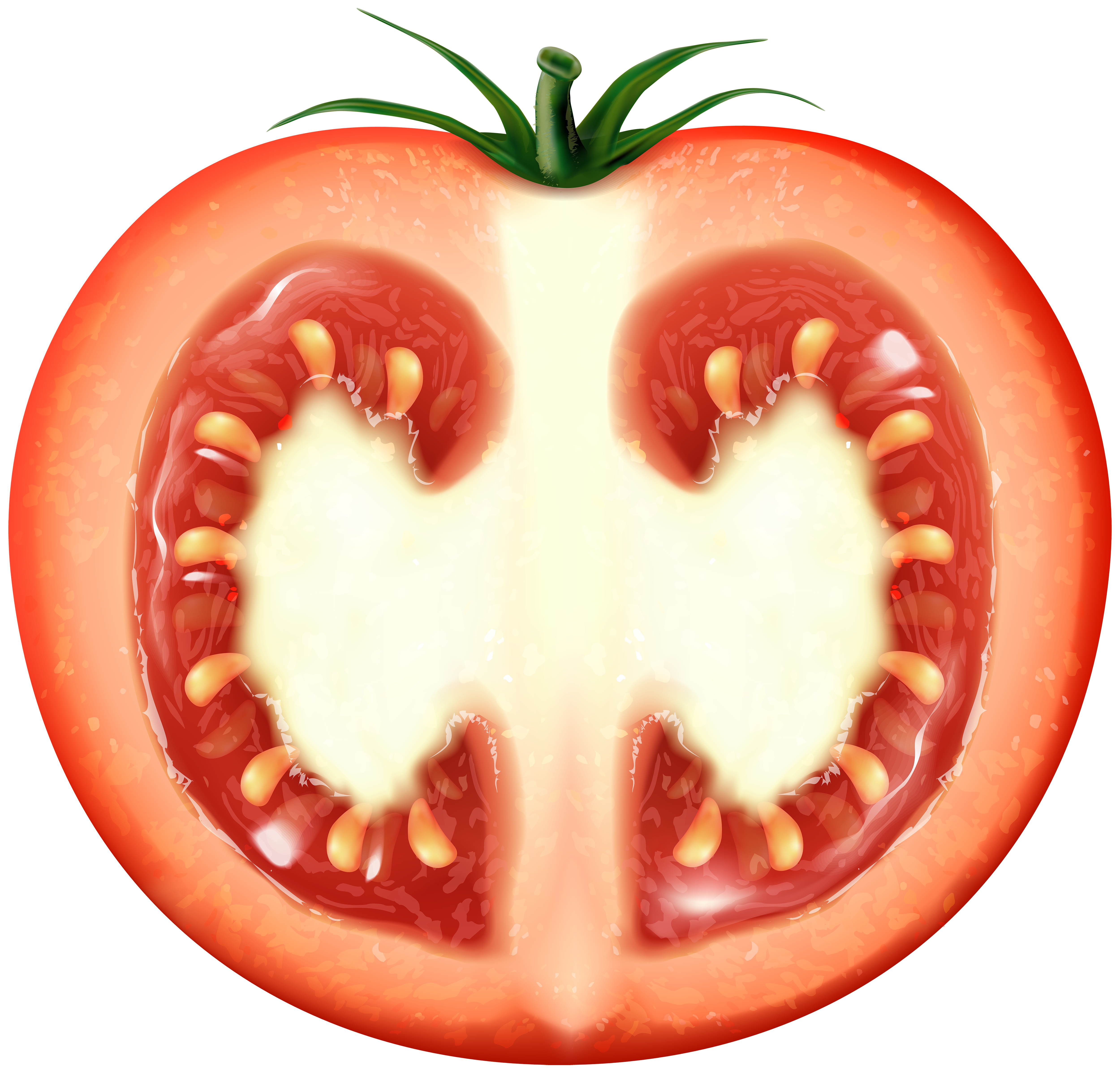 Download Half Tomato Transparent Clip Art Image | Gallery ...