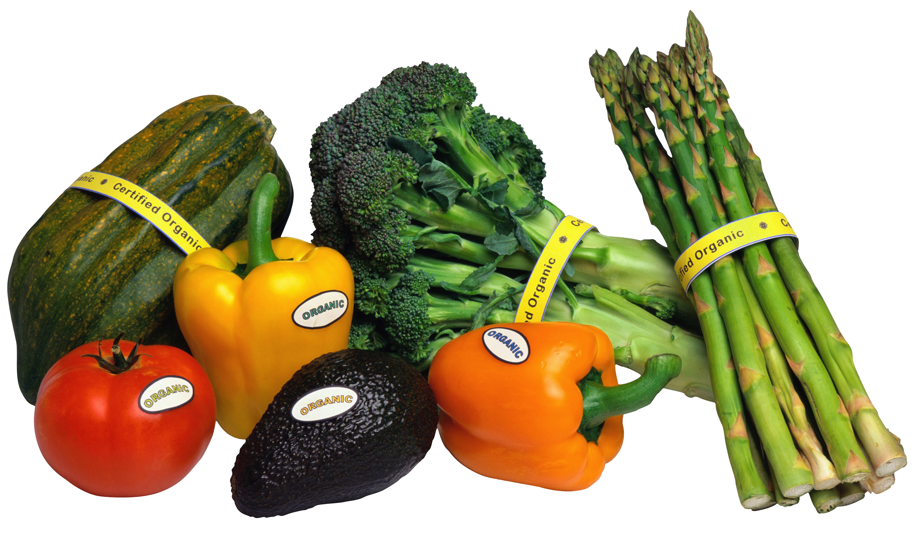 organic vegetables png picture gallery yopriceville organic download