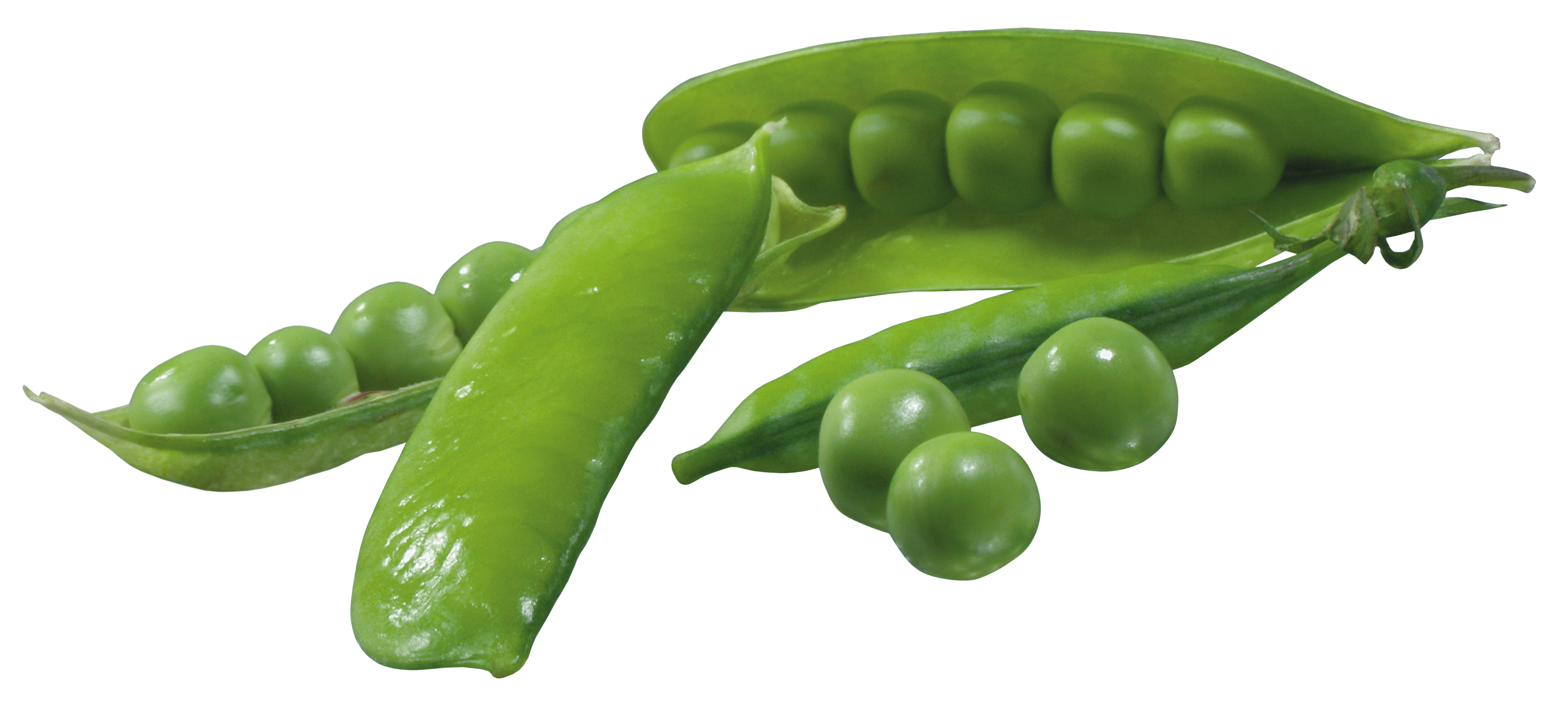 pea pods png picture gallery yopriceville high quality christmas mistletoe png