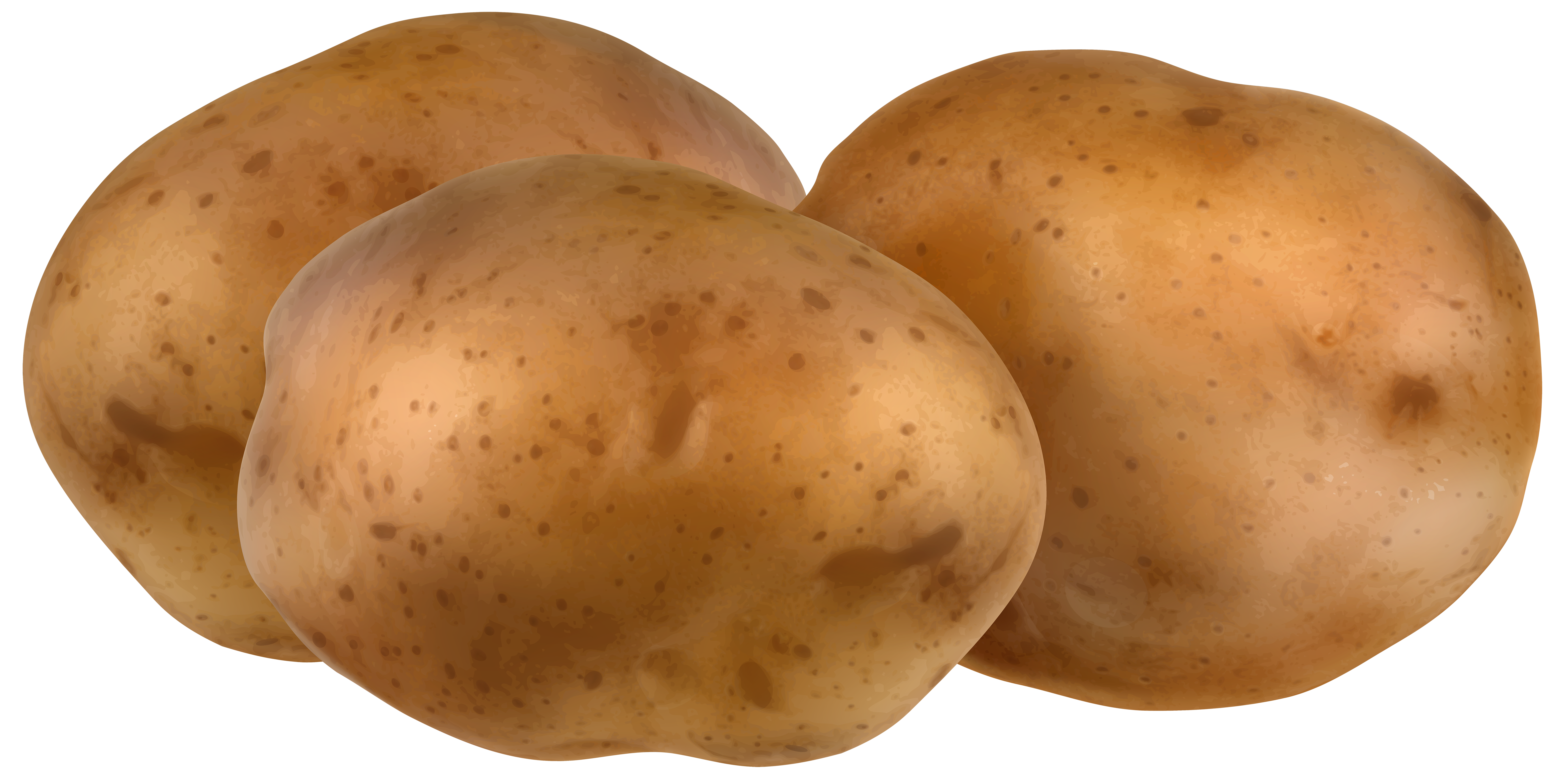 potato images clip art