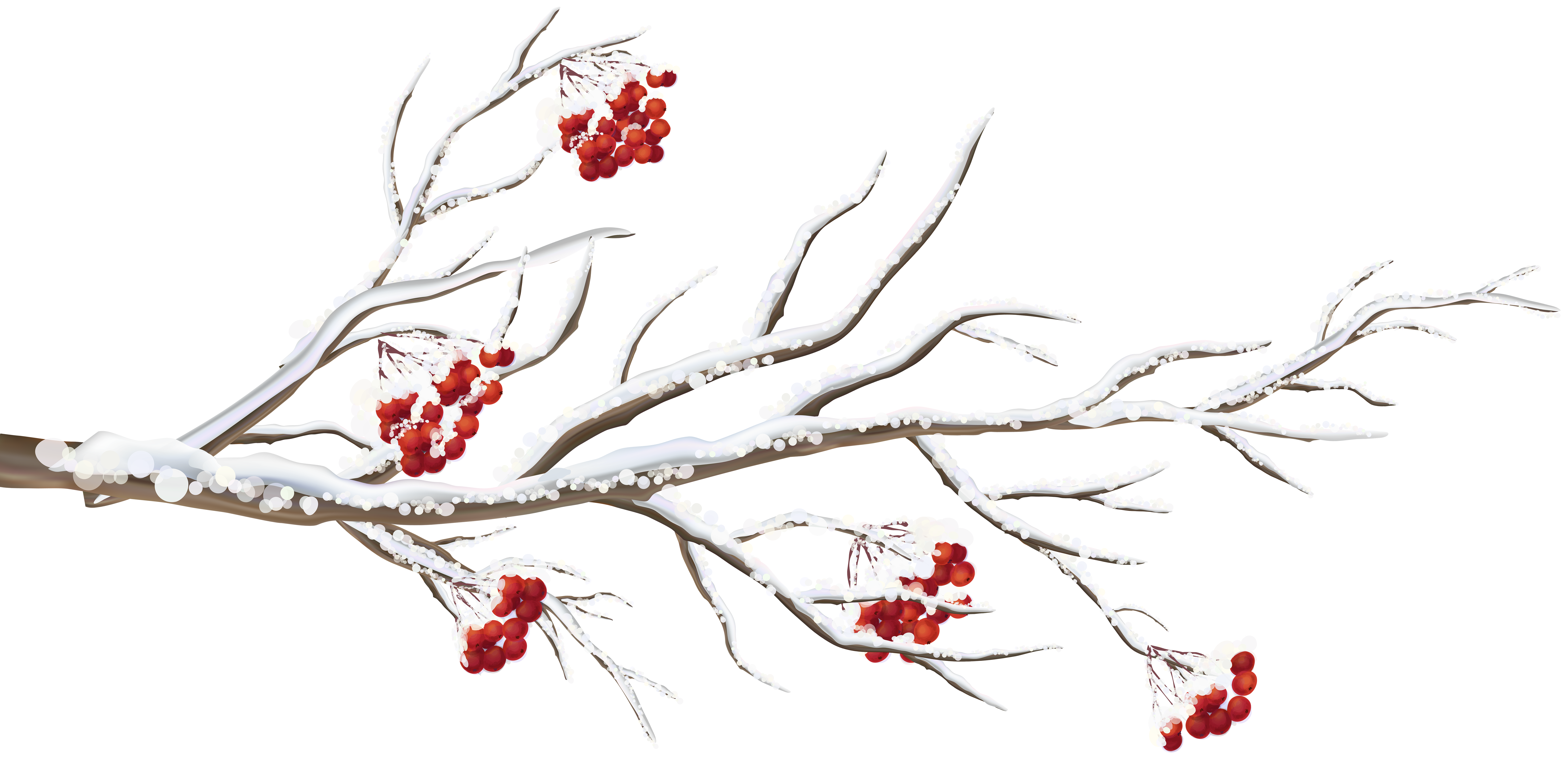 winter tree branch clip art
