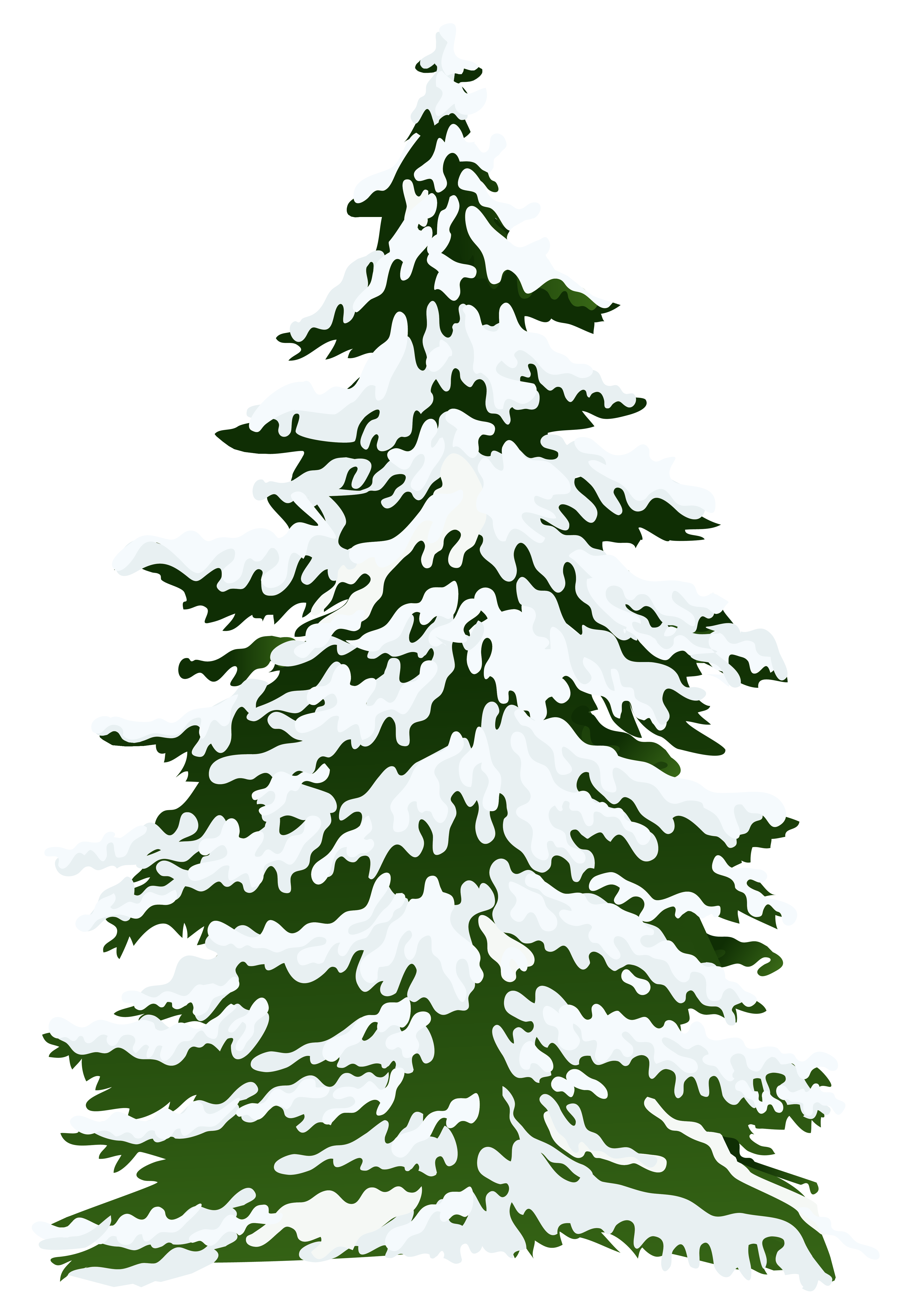 snowy pine trees