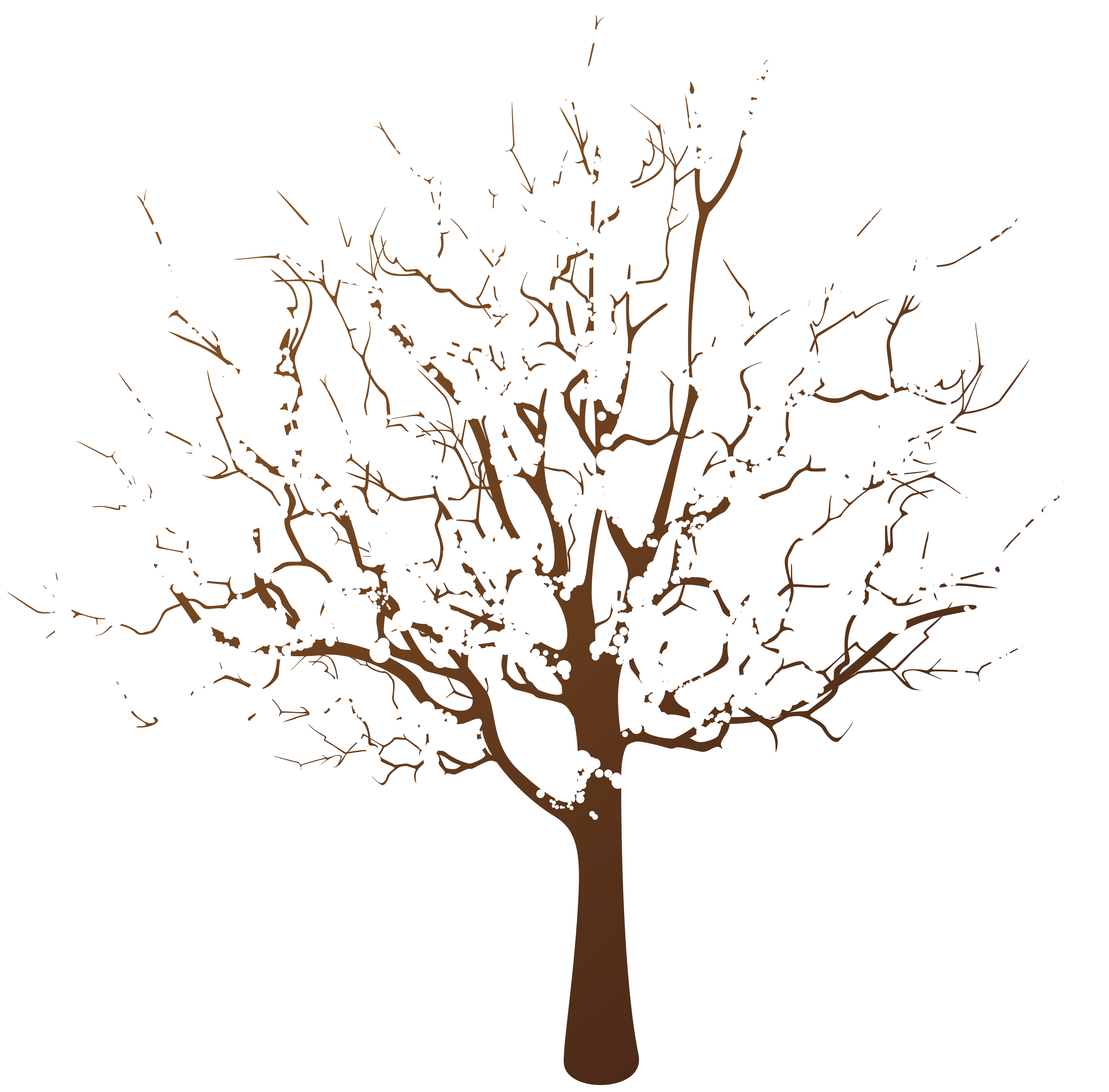 Winter tree clipart. Free download transparent .PNG