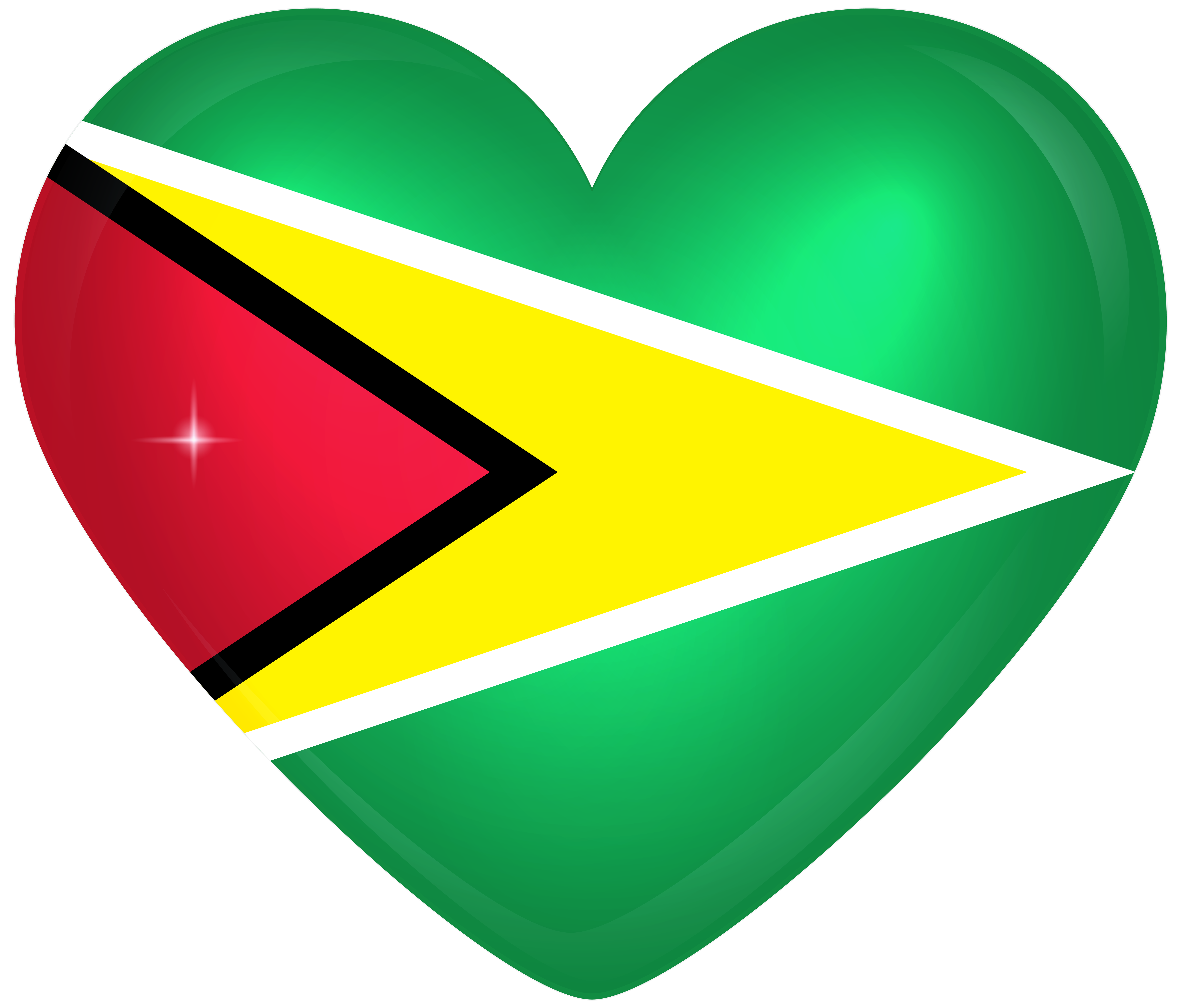 Flag Of Guyana