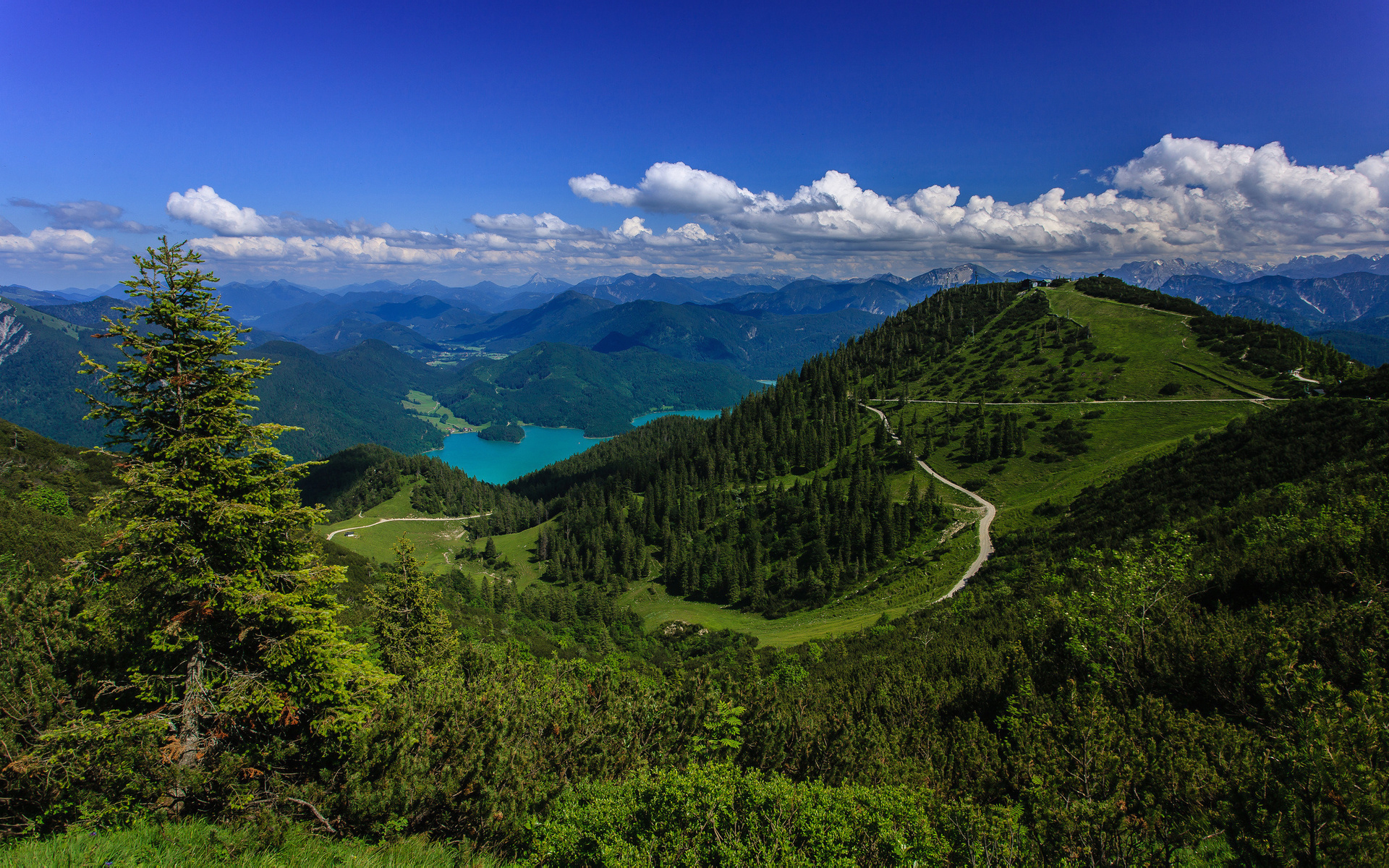 green mountain landscape