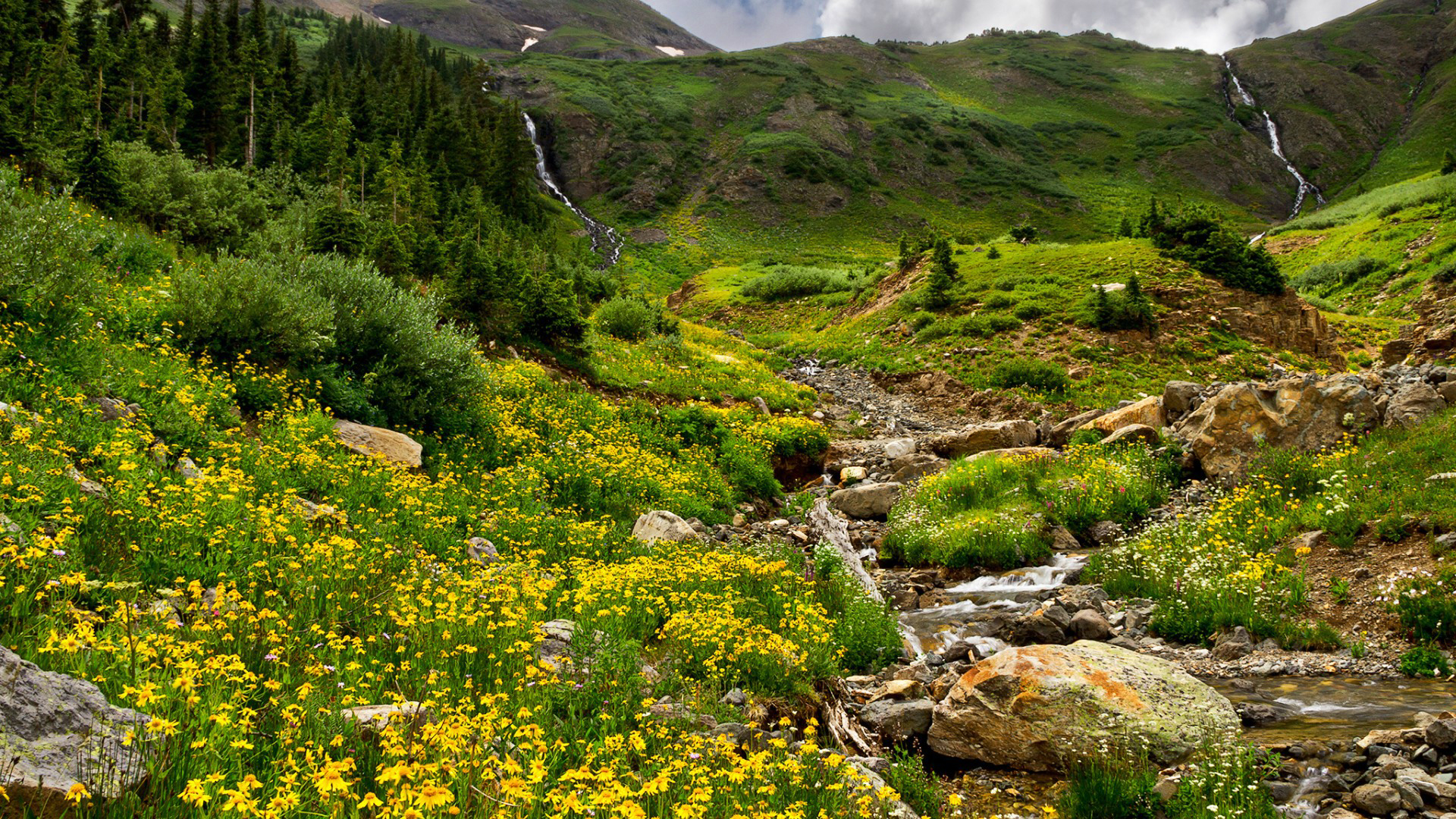 Yellow Mountain Flowers Wallpaper Gallery Yopriceville High