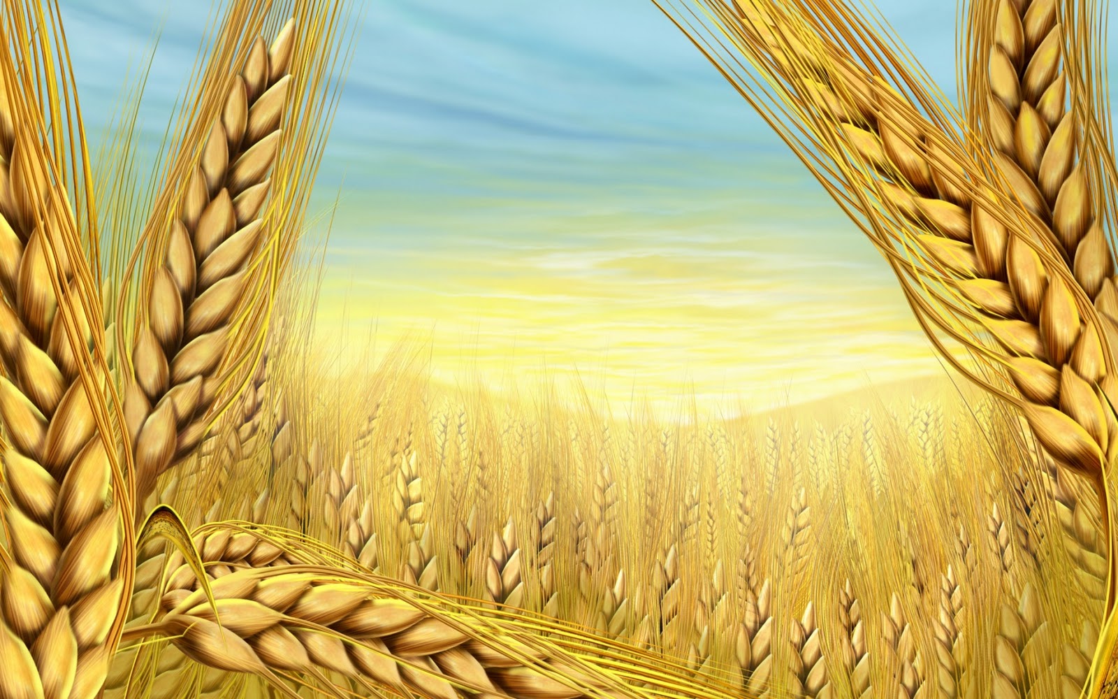 Autumn Wheat Field Girl Illustration Powerpoint Background For Free  Download - Slidesdocs