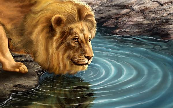 This jpeg image - Lion, is available for free download