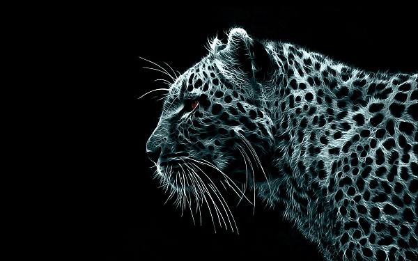This jpeg image - Snow Leopard, is available for free download