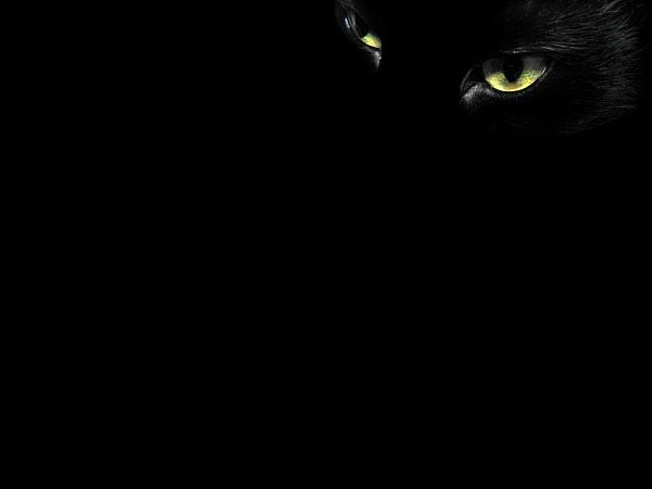 This jpeg image - black-cat-eyes, is available for free download
