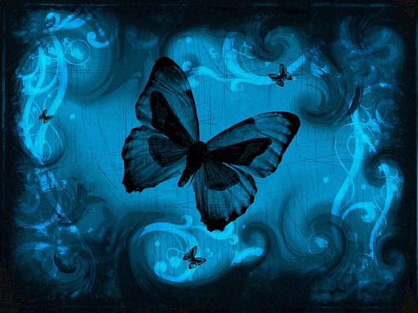 This jpeg image - butterfly-lovely, is available for free download