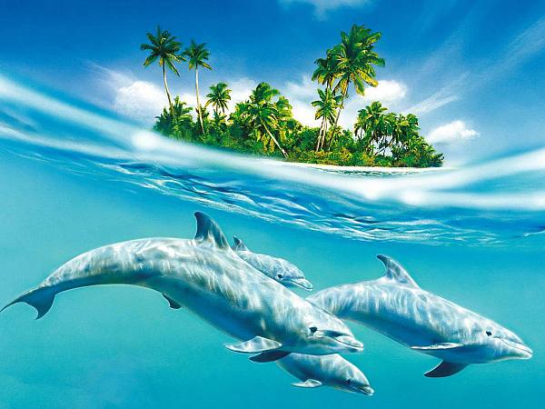 This jpeg image - dolphin-blue, is available for free download