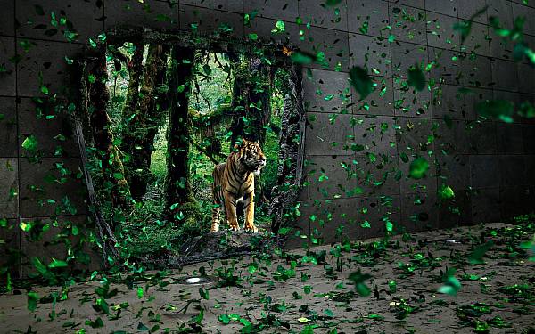 This jpeg image - tiger-wallpaper, is available for free download