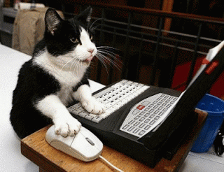 This gif image - Animated Cat on PC, is available for free download