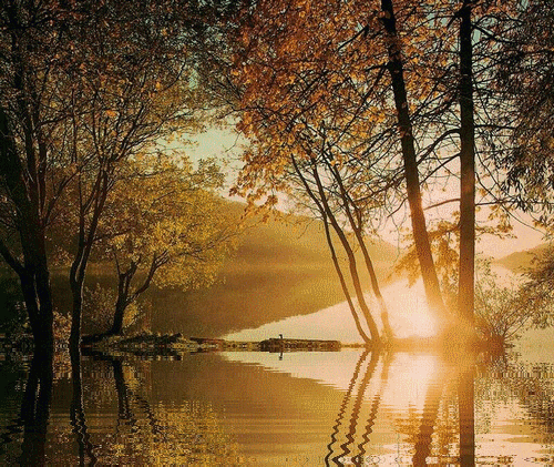 This gif image - Autumn Lake Gif Animation, is available for free download