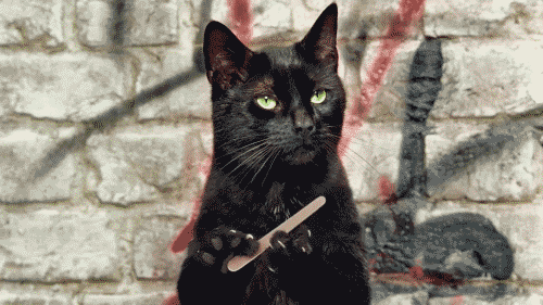 This gif image - Catfather Gif Animation, is available for free download