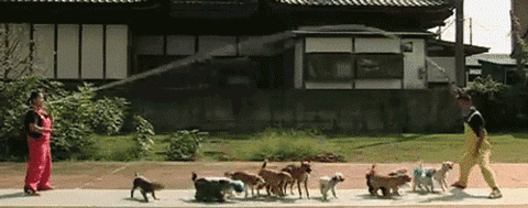 This gif image - Dogs jumping rope, is available for free download