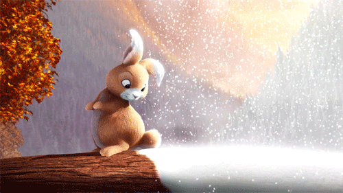 This gif image - Funny Bunny Gif Animation, is available for free download
