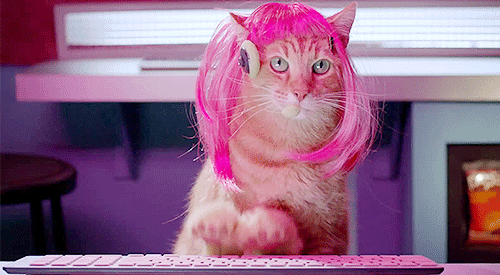 This gif image - Pinky Cat Gif Animation, is available for free download