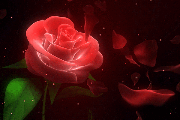 This gif image - Red Rose Gif Animation, is available for free download