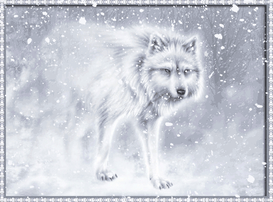 This gif image - White Winter Wolf Gif Animation, is available for free download