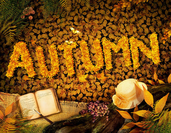 This jpeg image - Autumn Background with Book, is available for free download