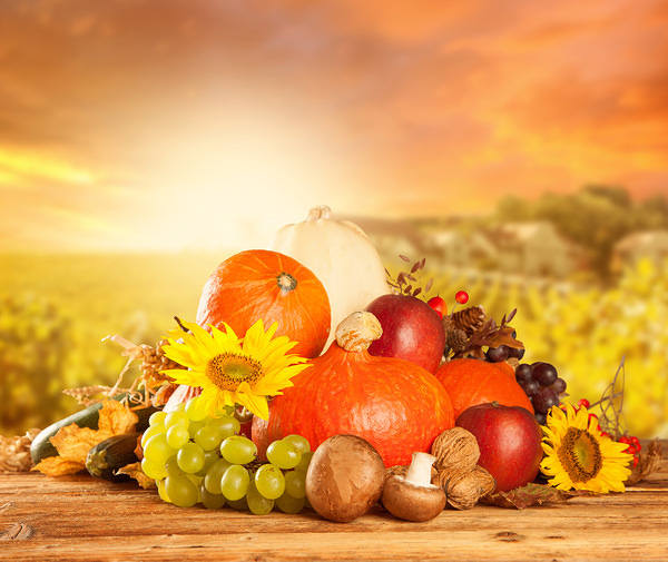 This jpeg image - Autumn Harvest Background, is available for free download