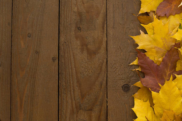 This jpeg image - Autumn Leaves on Wooden Background, is available for free download