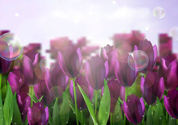 This jpeg image - Background with Purple Tulips, is available for free download