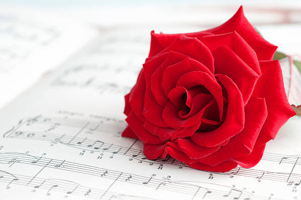 This jpeg image - Background with Red Rose and Music Sheet, is available for free download