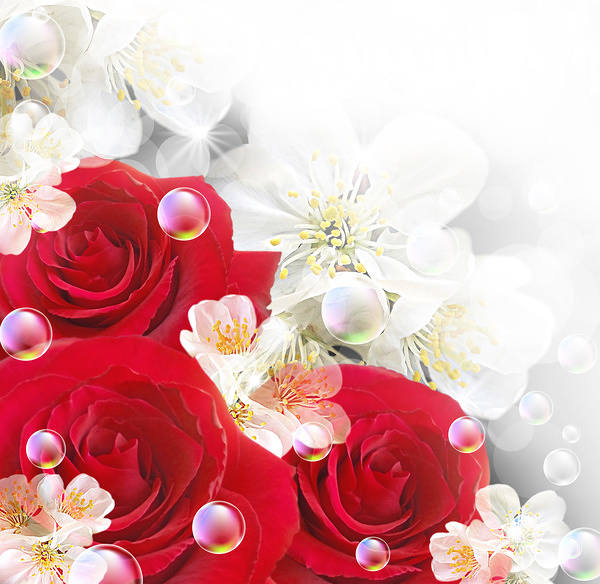 This jpeg image - Background with Red Roses and White Flowers, is available for free download