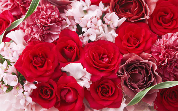 This jpeg image - Background with Roses Carnations and Spring Flowers, is available for free download