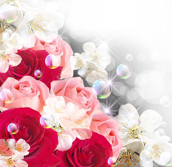 This jpeg image - Background with Roses and White Flowers, is available for free download