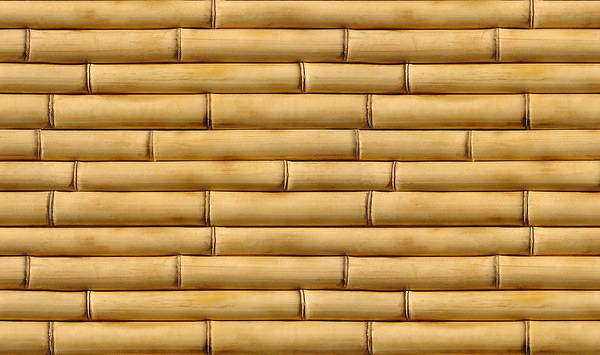 This jpeg image - Bamboo Background, is available for free download