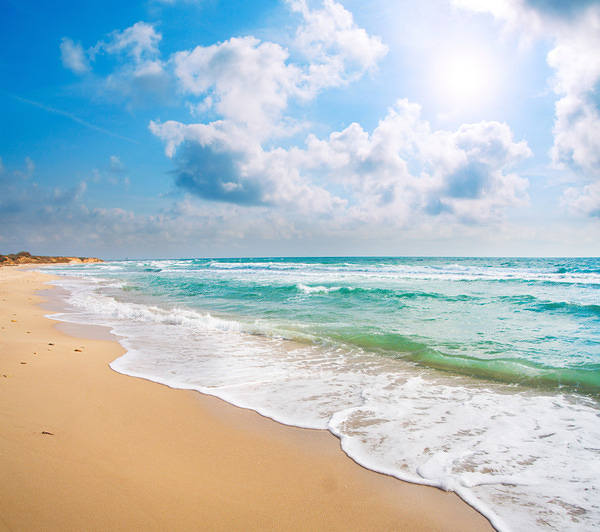 Beach Background | Gallery Yopriceville - High-Quality Free Images and ...
