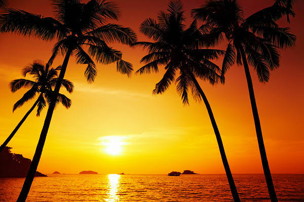 This jpeg image - Beach Sunset Background, is available for free download