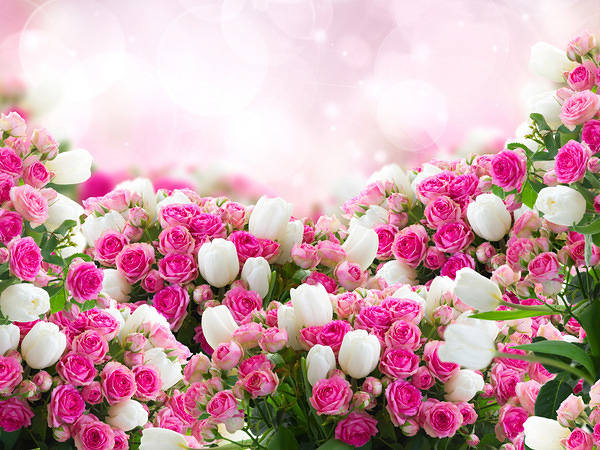 This jpeg image - Beautiful Pink Background with Roses and Tulips, is available for free download