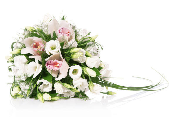 This jpeg image - Bouquet White Background, is available for free download